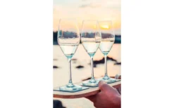 Silwy® Magnet-Champagnergläser (200 Ml) Inkl. Untersetzer 2er Set -Dometic || Mepal || Outwell Verkäufe 297881 2078601